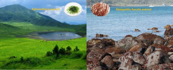Glycowave resource